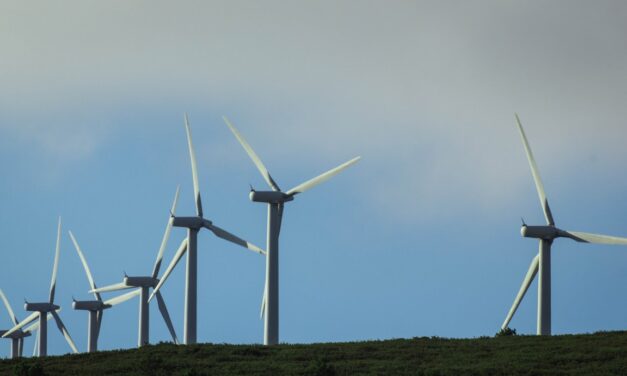 Sursele eoliene şi solare au depăşit gazele în generarea de electricitate în UE